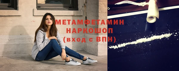 прущие грибы Чегем