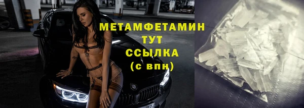 прущие грибы Чегем