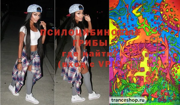 дживик Чекалин