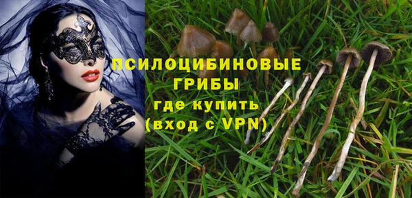 а пвп мука Чердынь